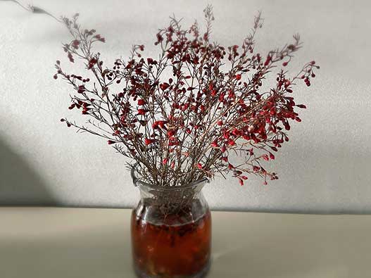 干花商标注册全流程解析：类别选择、申请步骤、费用及时间说明