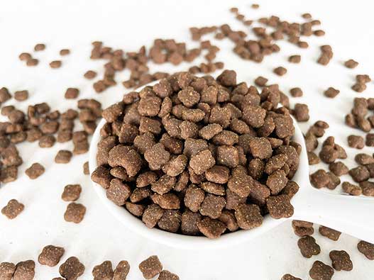 狗粮商标注册全流程解析：类别选择、申请步骤、费用及时间说明