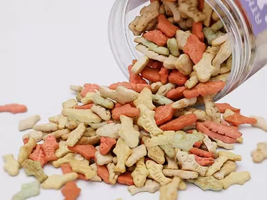 猫零食商标注册全流程解析：类别选择、申请步骤、费用及时间说明