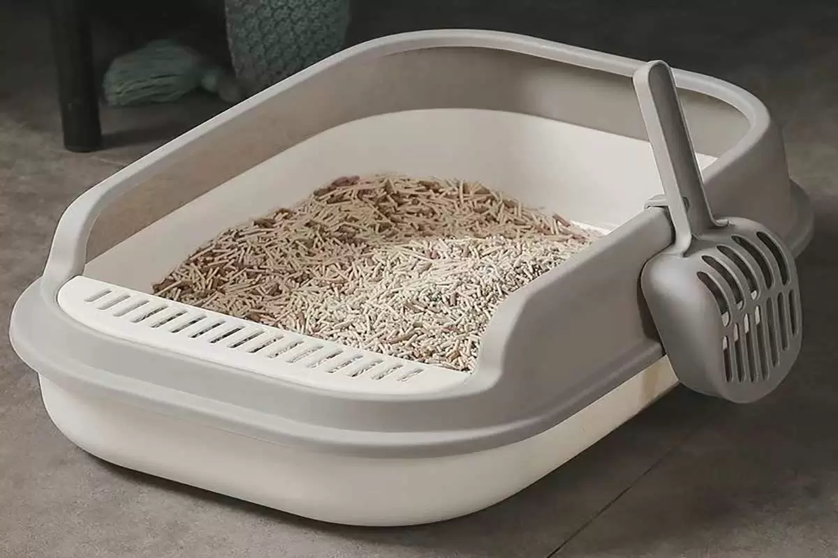 猫砂盆